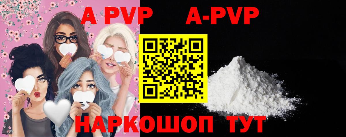 A PVP СК КРИС Волгоград