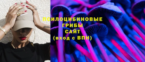 дживик Нефтегорск