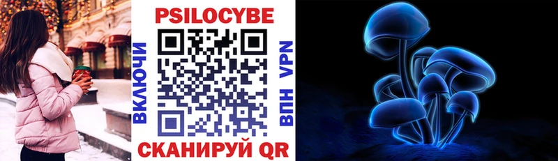 Галлюциногенные грибы Cubensis  купить   Волгоград 