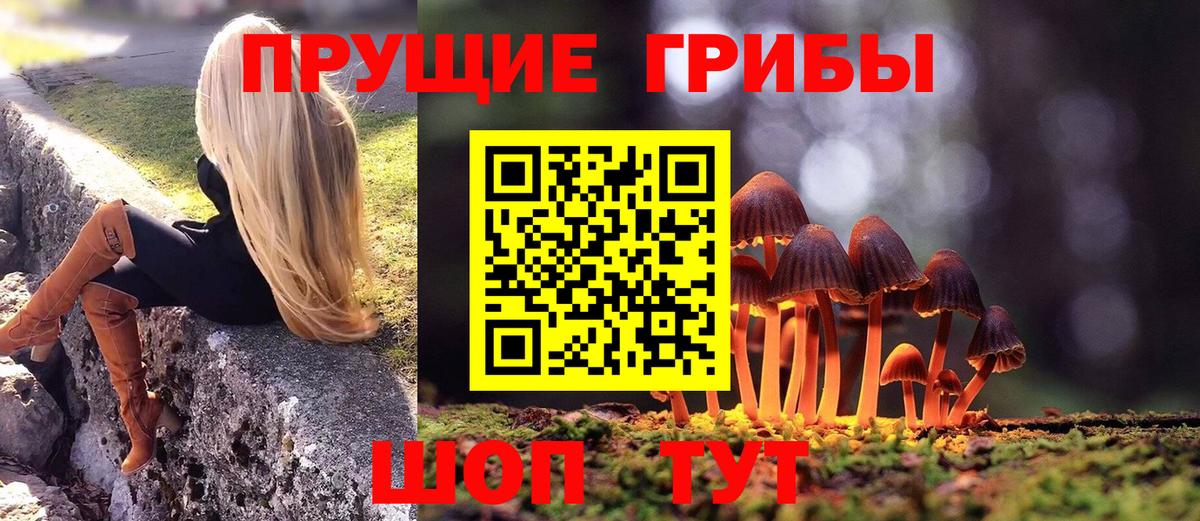 Галлюциногенные грибы Psilocybine cubensis  Волгоград 