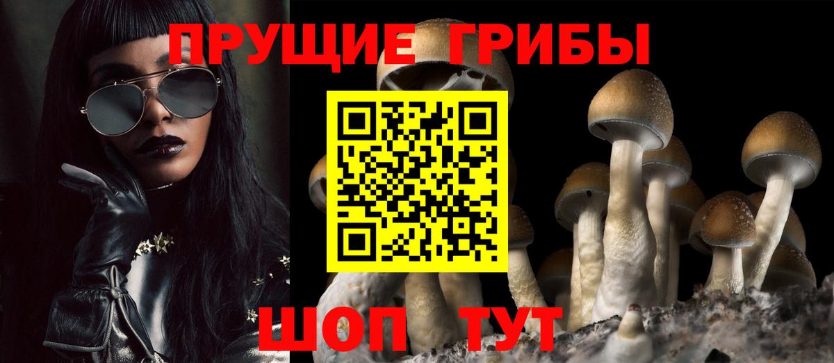 Псилоцибиновые грибы MAGIC MUSHROOMS  наркотики  Волгоград  Вход с VPN 