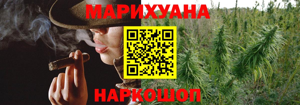 Конопля SATIVA & INDICA  Вход с VPN  Каннабис планчик  Волгоград  Конопля сатива 